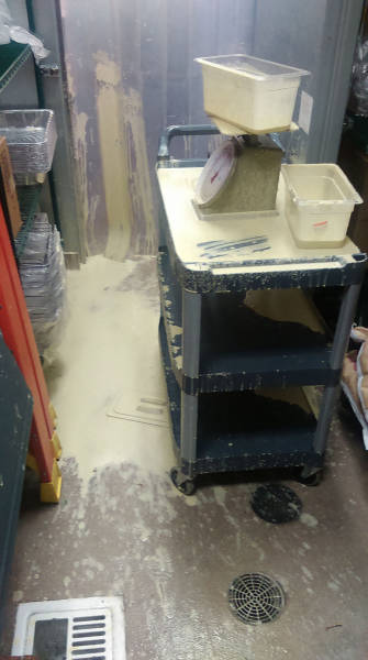 morning picdump 50 pics 10.html - 50 HD Photos | Premium Gallery 2015