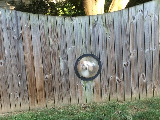 morning picdump 52 pics 17.html - 52 HD Photos | Premium Gallery 2015