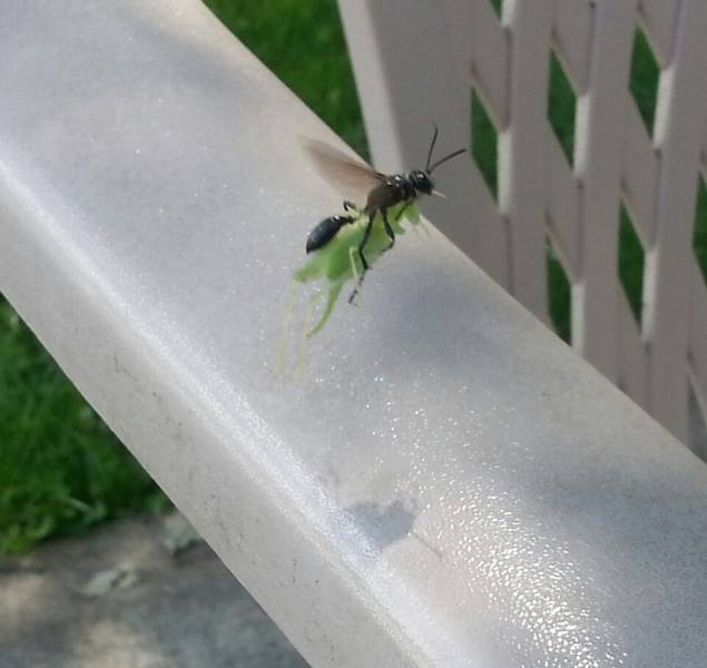 morning picdump 52 pics 17.html - 52 HD Photos | Premium Gallery 2015