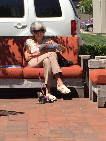 morning picdump 52 pics 17.html - 52 HD Photos | Premium Gallery 2015