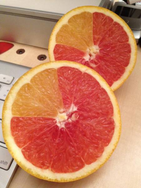 morning picdump 52 pics 17.html - 52 HD Photos | Premium Gallery 2015