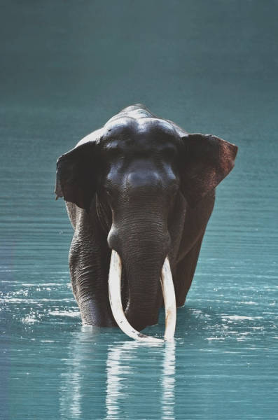 morning picdump 52 pics 17.html - 52 HD Photos | Premium Gallery 2015