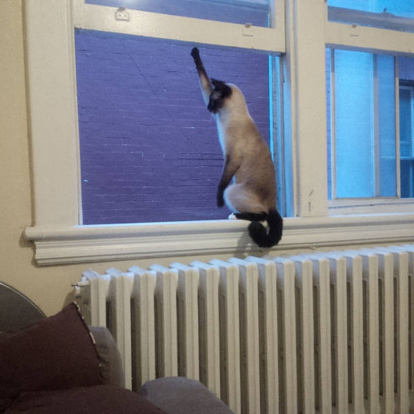 morning picdump 52 pics 17.html - 52 HD Photos | Premium Gallery 2015