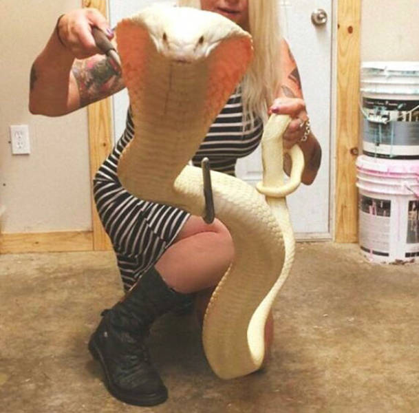 morning picdump 51 pics 50.html - 51 HD Photos | Premium Gallery 2015