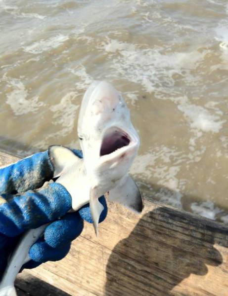 morning picdump 51 pics 50.html - 51 HD Photos | Premium Gallery 2015