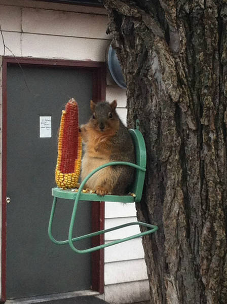 Morning Picdump