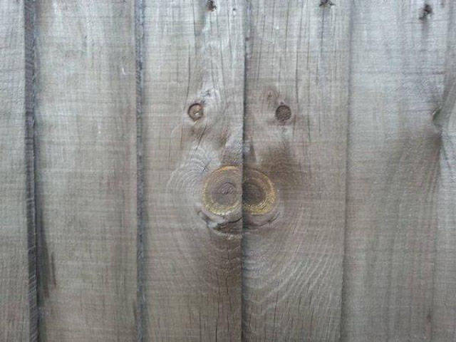 Wait, Take a Closer Look!
