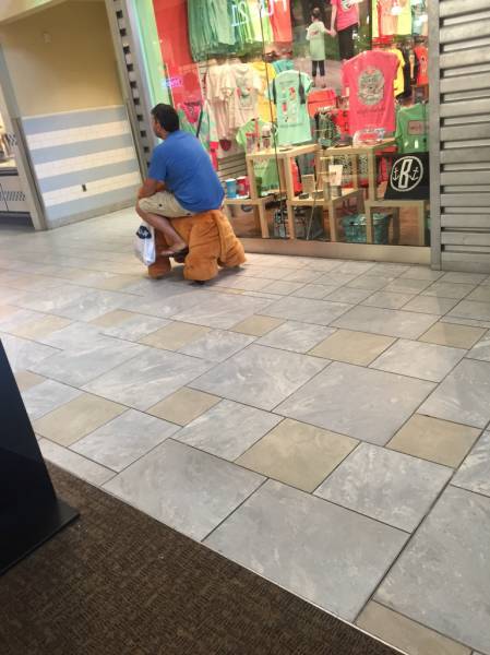 Morning Picdump
