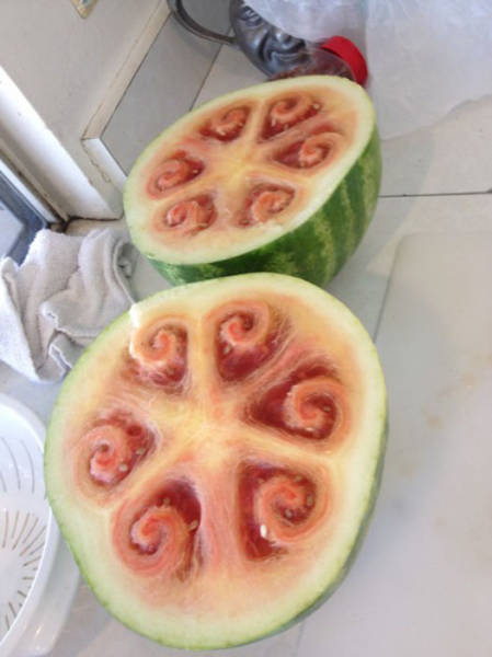 morning picdump 54 pics 7.html - 54 HD Photos | Premium Gallery 2015