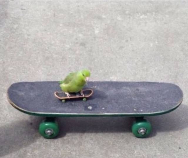 morning picdump 54 pics 7.html - 54 HD Photos | Premium Gallery 2015