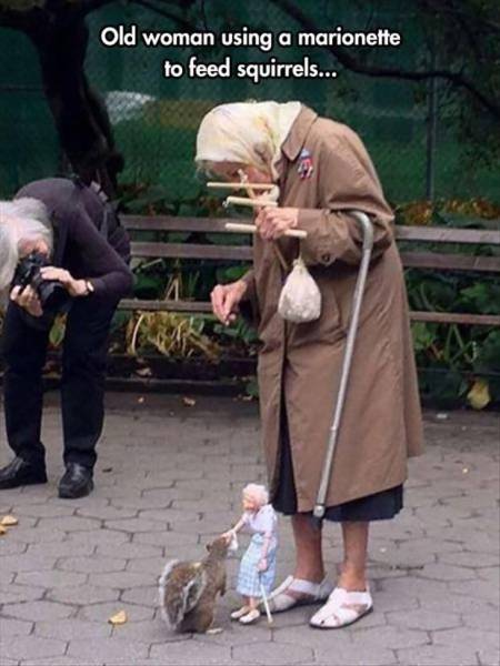 page,15,top 1500 daily pics of the year 2015.html - 1 HD Photos | Premium Gallery 2015