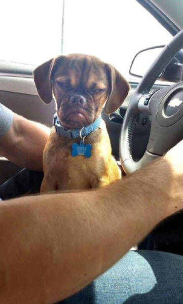 morning picdump 53 pics 44.html - 53 HD Photos | Premium Gallery 2015