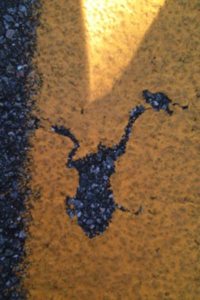 morning picdump 53 pics 44.html - 53 HD Photos | Premium Gallery 2015