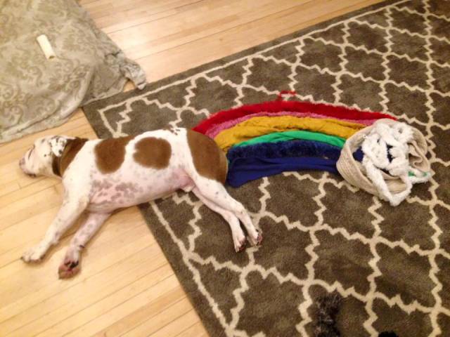 morning picdump 53 pics 44.html - 53 HD Photos | Premium Gallery 2015