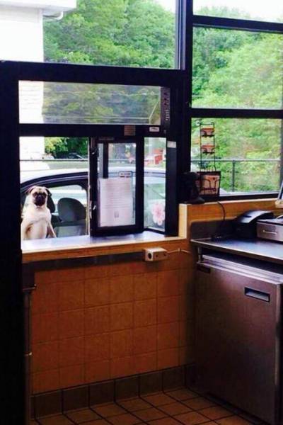 morning picdump 53 pics 44.html - 53 HD Photos | Premium Gallery 2015