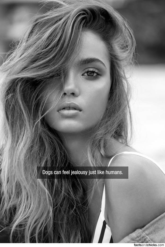 Facts are Best Served with Hot Girls