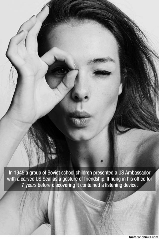 Facts are Best Served with Hot Girls