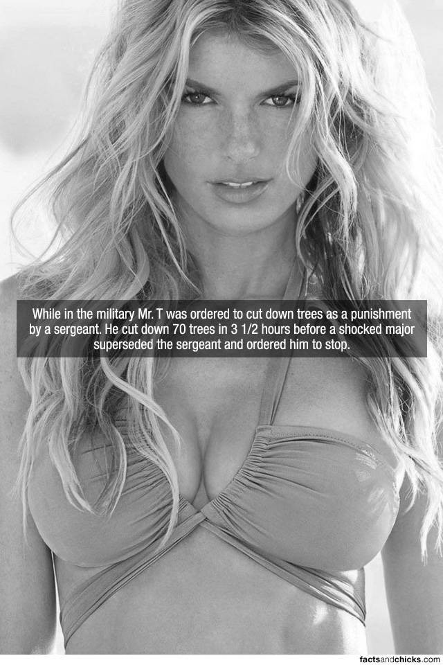 Facts are Best Served with Hot Girls