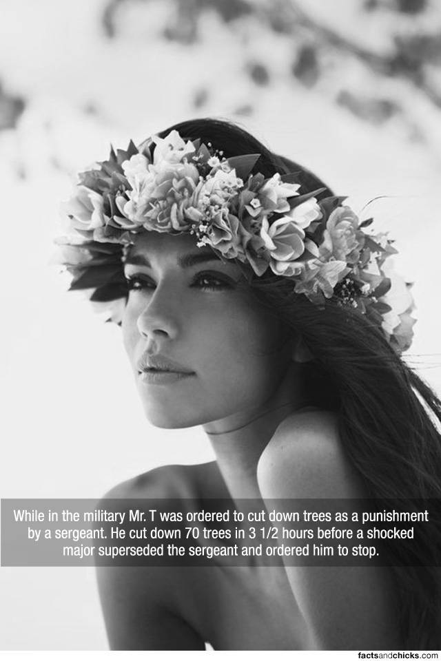 Facts are Best Served with Hot Girls