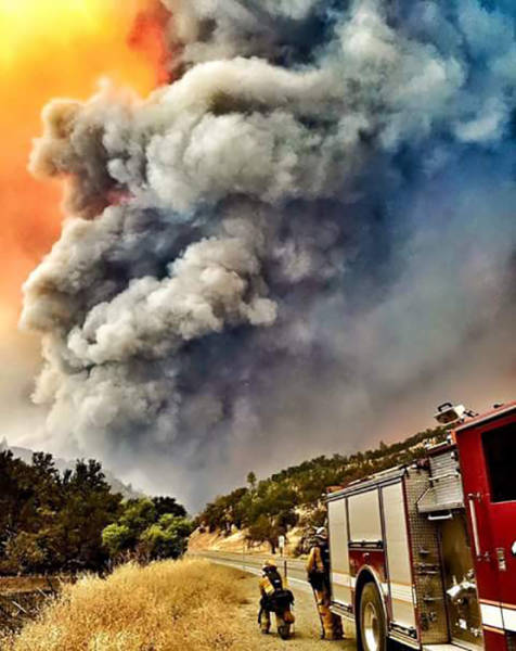 morning picdump 53 pics 20.html - 53 HD Photos | Premium Gallery 2015