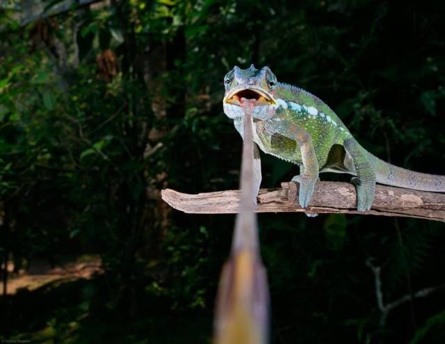 morning picdump 53 pics 20.html - 53 HD Photos | Premium Gallery 2015