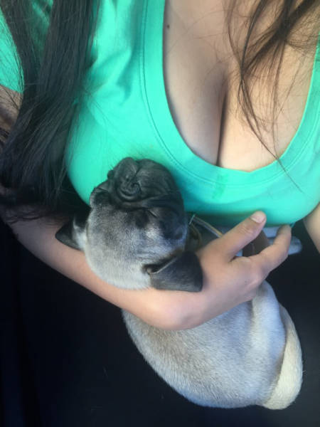 morning picdump 53 pics 20.html - 53 HD Photos | Premium Gallery 2015