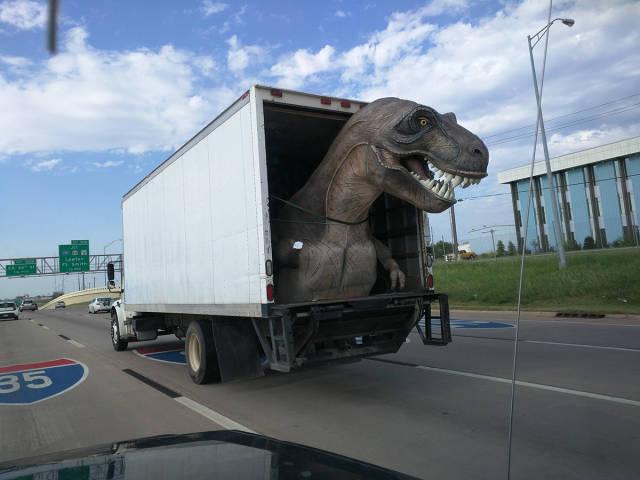 morning picdump 53 pics 20.html - 53 HD Photos | Premium Gallery 2015