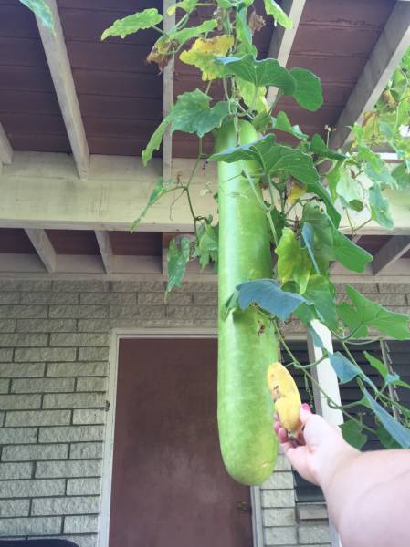 morning picdump 53 pics 20.html - 53 HD Photos | Premium Gallery 2015