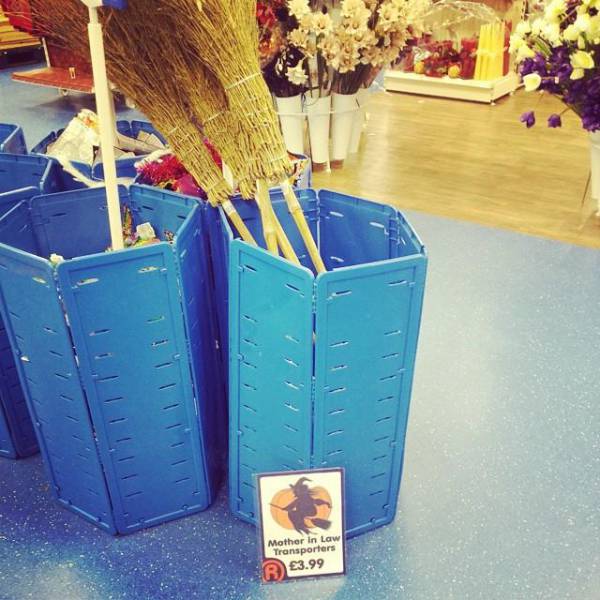 morning picdump 53 pics 20.html - 53 HD Photos | Premium Gallery 2015