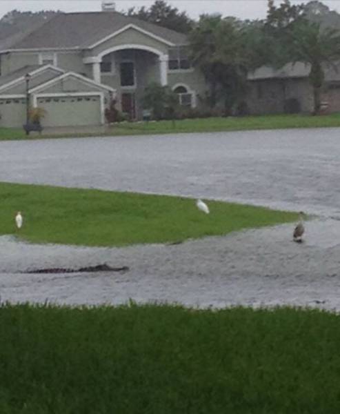 morning picdump 53 pics 20.html - 53 HD Photos | Premium Gallery 2015