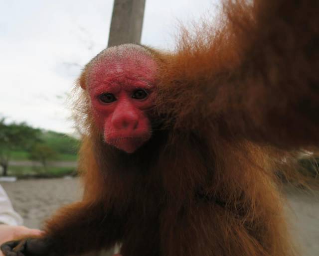 morning picdump 53 pics 20.html - 53 HD Photos | Premium Gallery 2015