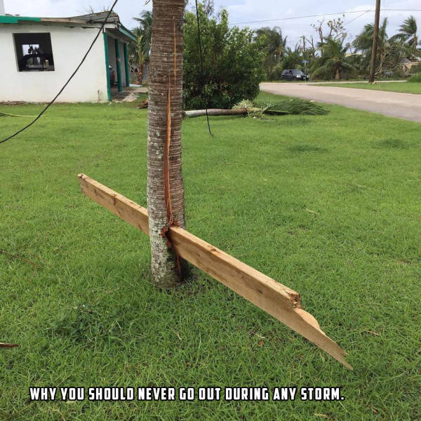 morning picdump 53 pics 20.html - 53 HD Photos | Premium Gallery 2015