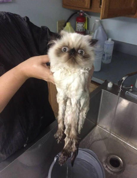 morning picdump 53 pics 20.html - 53 HD Photos | Premium Gallery 2015