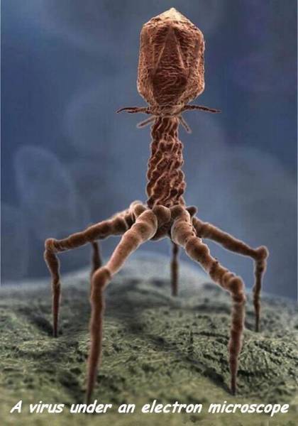 page,28,top 1500 daily pics of the year 2015.html - 1 HD Photos | Premium Gallery 2015