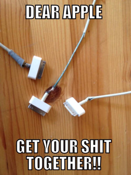 page,12,top 450 funny pics of the year 2015.html - 1 HD Photos | Premium Gallery 2015