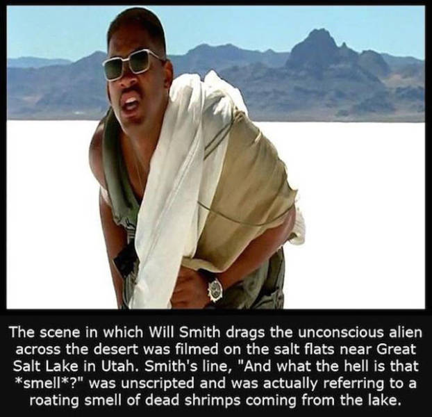 Interesting Facts about Anything and Everything