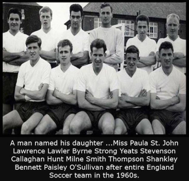 Interesting Facts about Anything and Everything