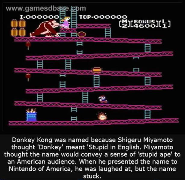 Interesting Facts about Anything and Everything