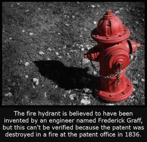 Interesting Facts about Anything and Everything