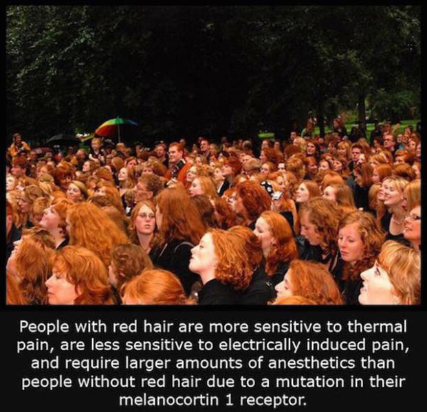 Interesting Facts about Anything and Everything