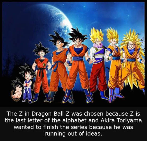 Interesting Facts about Anything and Everything