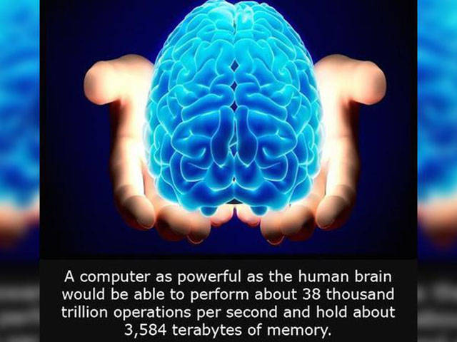 Interesting Facts about Anything and Everything