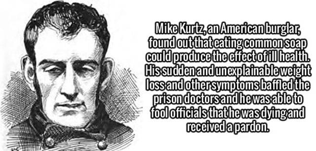 Interesting Facts about Anything and Everything