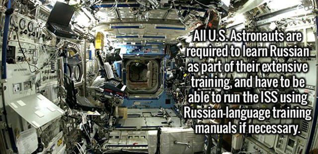 Interesting Facts about Anything and Everything