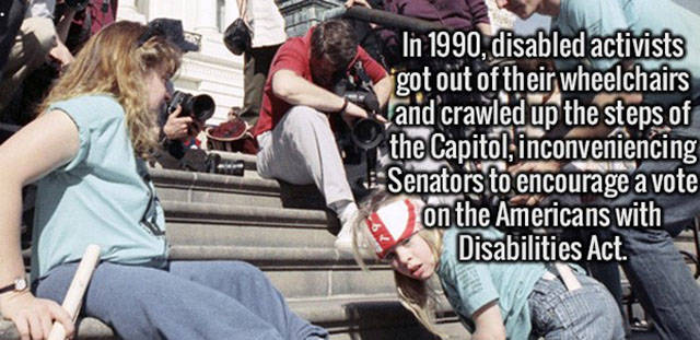 Interesting Facts about Anything and Everything