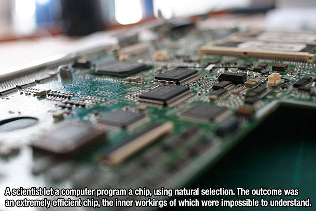 Interesting Facts about Anything and Everything