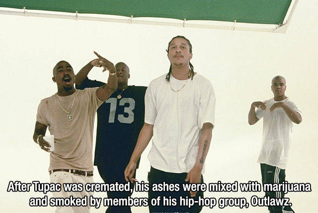 Interesting Facts about Anything and Everything