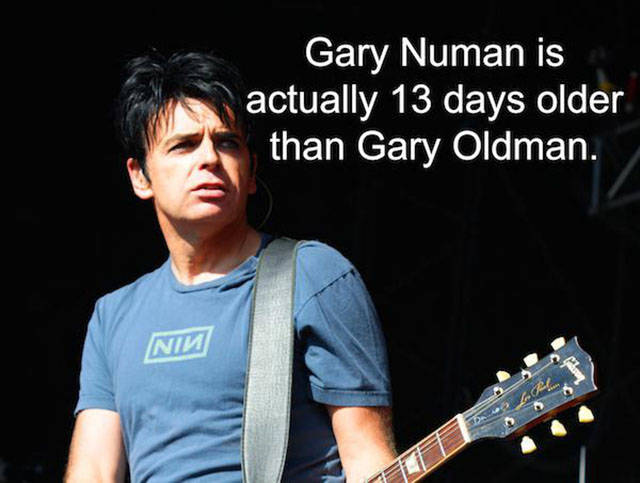 Interesting Facts about Anything and Everything