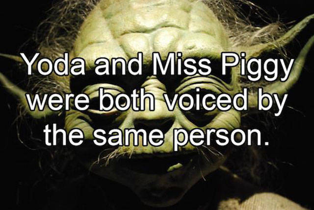 Interesting Facts about Anything and Everything