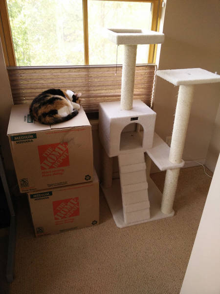 morning picdump 54 pics 18.html - 54 HD Photos | Premium Gallery 2015